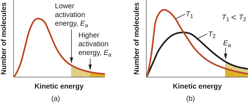 chemical kinetics neet questions